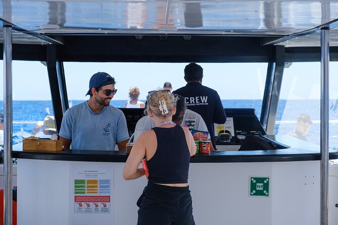 Madeira Dolphin and Whale Watching on a Ecological Catamaran - How the wildlife search works