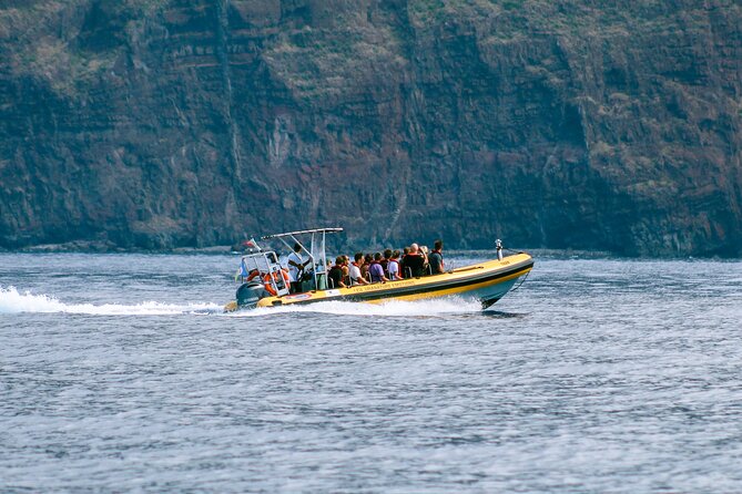 Madeira Dolphin & Whale Watching Tour - Who will enjoy this Madeira boat trip?