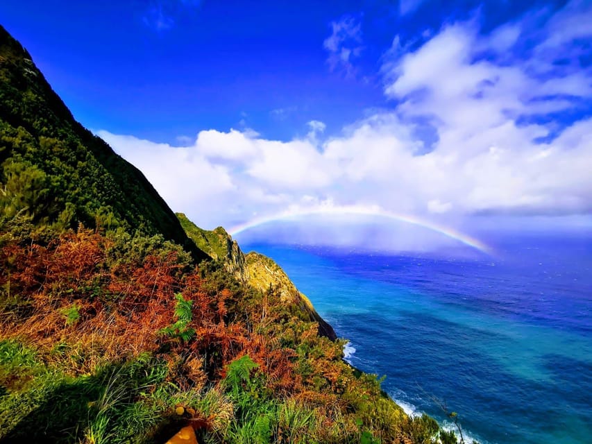 Madeira E-Buggy Adventure: 4x4 thrill & epic views! Book now - Quick points before you book