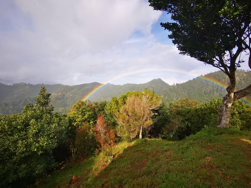 Madeira E-Buggy Adventure: 4x4 thrill & epic views! Book now - What the three-hour timing really means