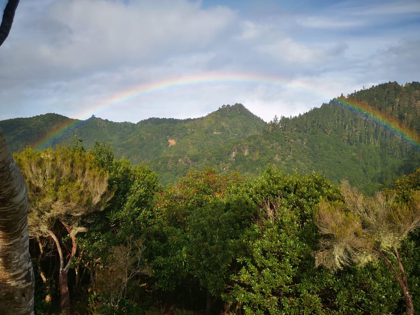 Madeira E-Buggy Adventure: 4x4 thrill & epic views! Book now - Price, private format, and overall value