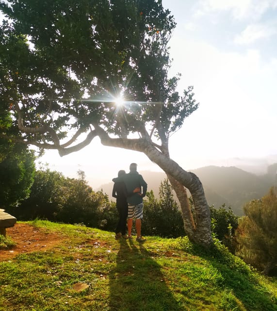 Madeira E-Buggy Adventure: 4x4 thrill & epic views! Book now - From Caminho da Referta to the mountain trail