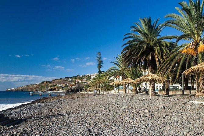 Madeira East Tour from Funchal - Ribeiro Frio combines trout pools and old forest