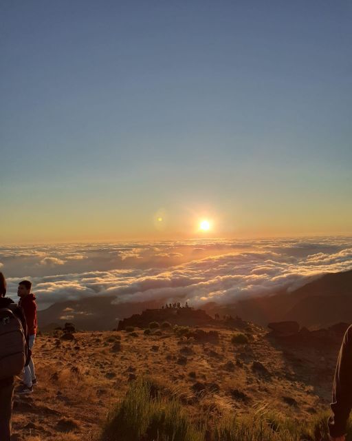 Madeira East Wonders 4X4 Tour Safari - The laurissilva forest by Land Rover