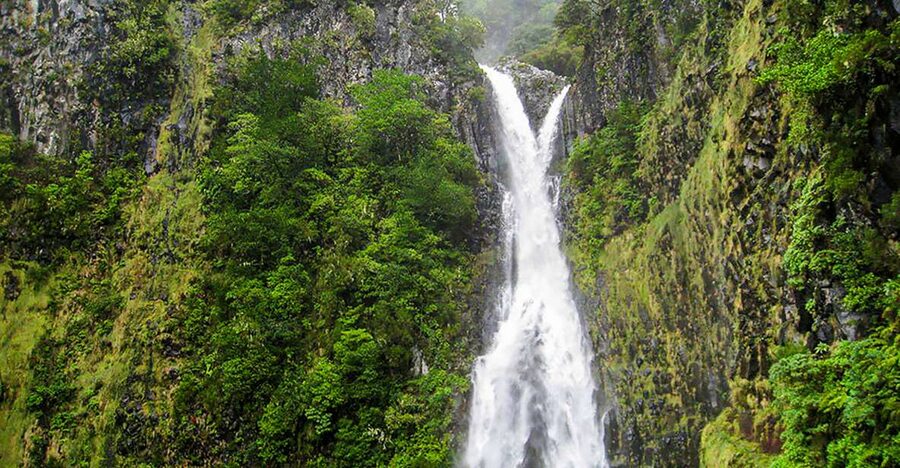 Madeira: Enjoy a Guided Levada Walk in the Rabaçal Valley - Key points at a glance