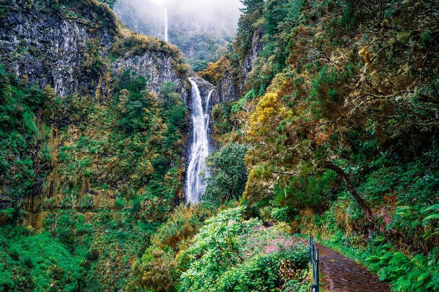 Madeira: Enjoy a Guided Levada Walk in the Rabaçal Valley - Walking beside Madeira’s historic levadas