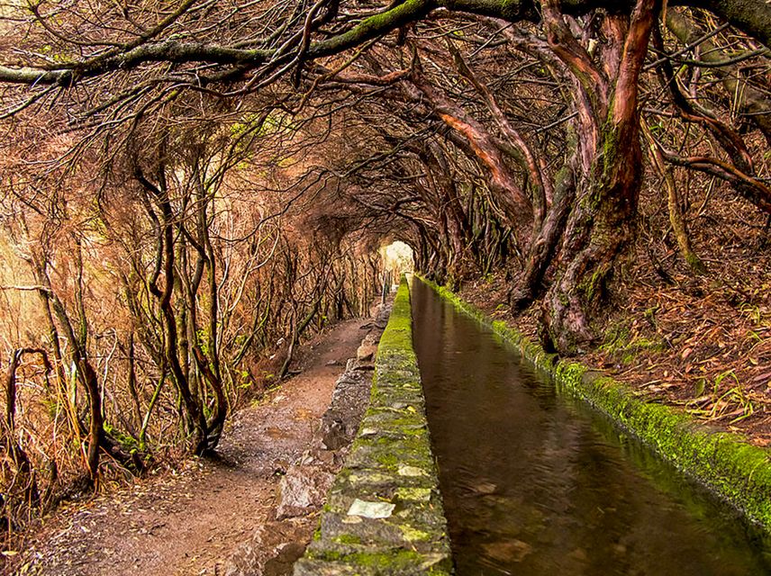 Madeira: Enjoy a Guided Levada Walk in the Rabaçal Valley - The 800-meter tunnel: useful, damp, and memorable