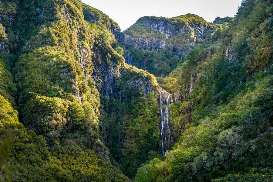Madeira: Enjoy a Guided Levada Walk in the Rabaçal Valley - Guides, languages, and the human side of the walk