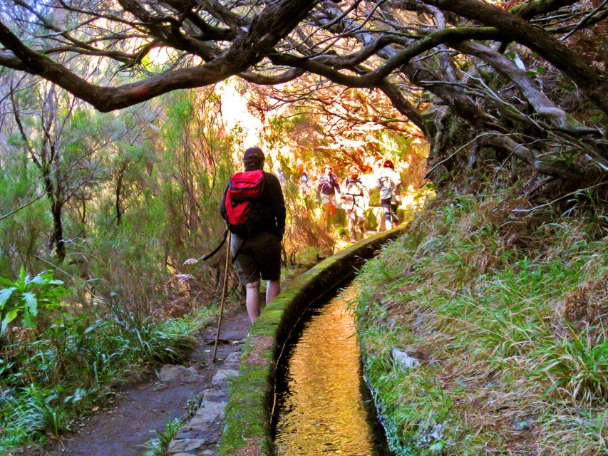 Madeira: Enjoy a Guided Levada Walk in the Rabaçal Valley - What to pack for this Madeira hike