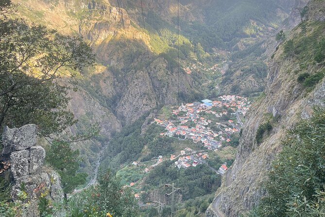 Madeira Essence Half Day Tour for Cruises - A short Madeira wine and honey cake tasting