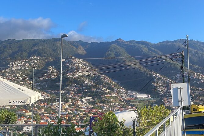 Madeira Essence Half Day Tour for Cruises - Funchal’s old town gives you time on foot
