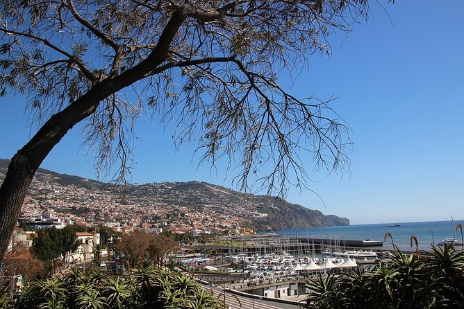 Madeira Essence Half Day Tour for Cruises - Why the four-hour length works for a cruise stop