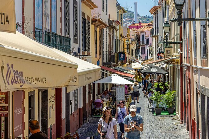 Madeira Essence Half Day Tour for Cruises - Group size, vehicles, and communication