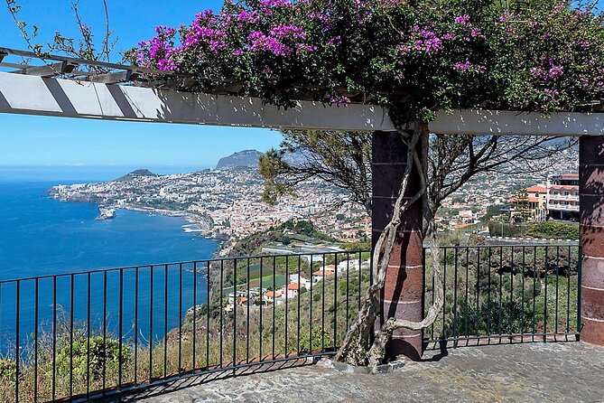 Madeira Essence Half Day Tour for Cruises - Câmara de Lobos: Madeira’s working fishing harbor