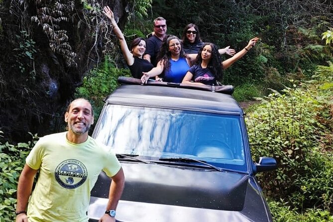 Madeira: Experiência 4WD Skywalk para Seixal Porto Moniz, Fanal - Where the road turns rough