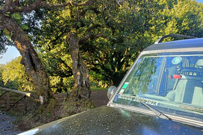 Madeira: Experiência 4WD Skywalk para Seixal Porto Moniz, Fanal - Ilhéus da Ribeira da Janela and the power of a quick stop