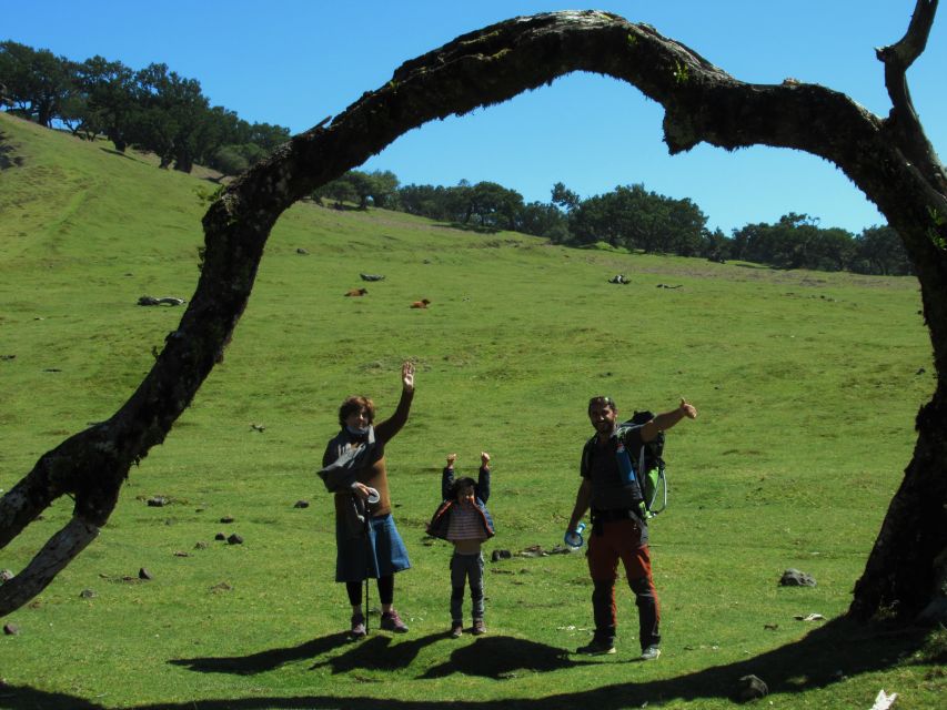 Madeira: Fanal Forest Guided Hiking Tour - The Mountain Drive From Madeira