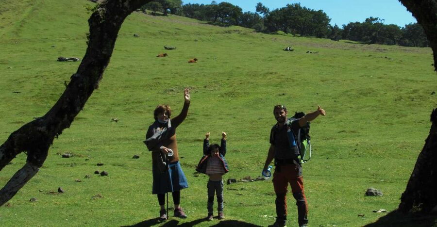 Madeira: Fanal Forest Guided Hiking Tour - Walking Beneath the Centennial Trees