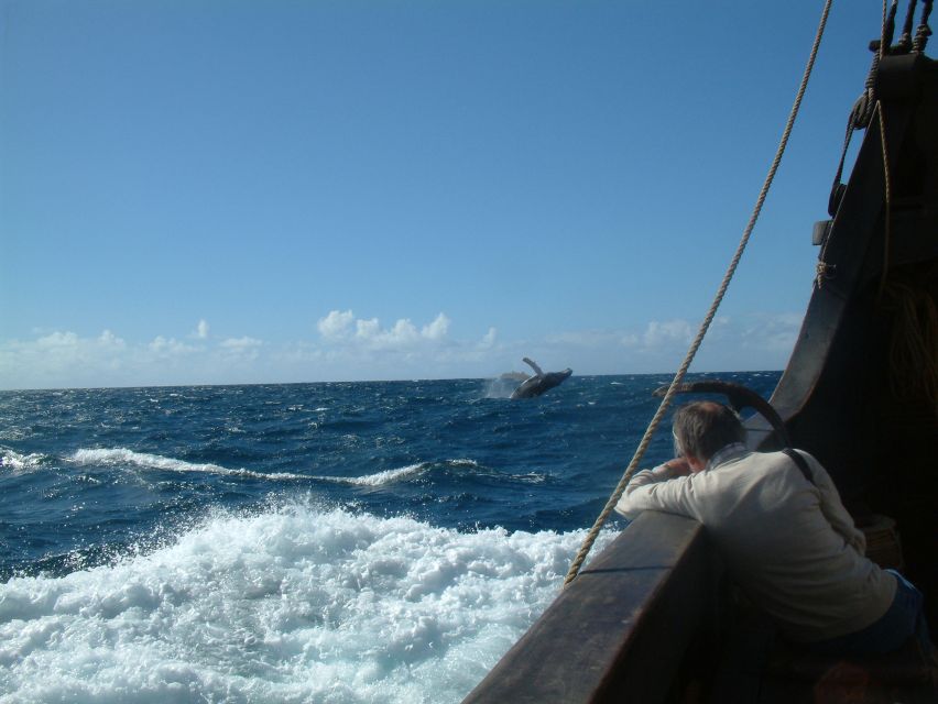 Madeira: Flag Ship Tour aboard Santa Maria de Colombo - Watching for dolphins and whales