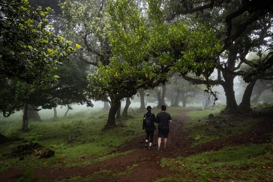 Madeira : Full Day Adult-only west 4x4 Tour - Key points at a glance