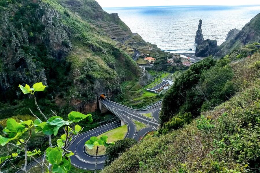 Madeira: Full-Day Jeep Tour, Natural Pools, Seixal & Fanal - Fanal Forest and Paul da Serra