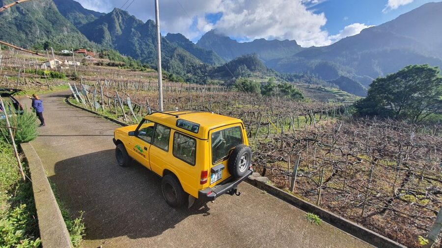 Madeira: Full-Day Jeep Tour with Guide and Pickup - Fanal Forest is the quiet change of mood
