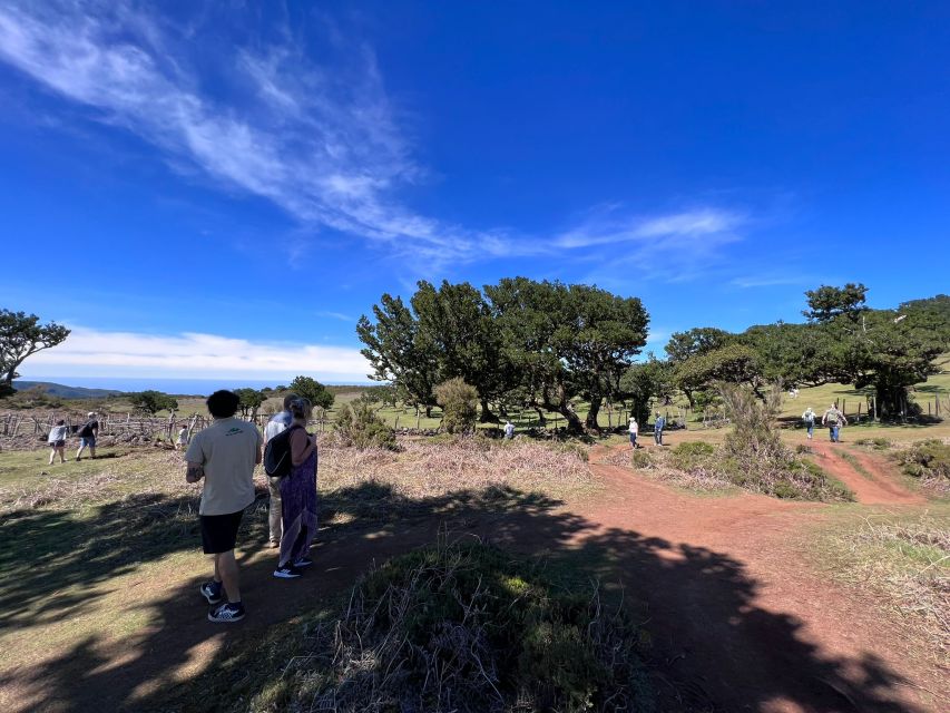 Madeira: Full-Day Jeep Tour with Guide and Pickup - What the jeep, guide, and group size mean
