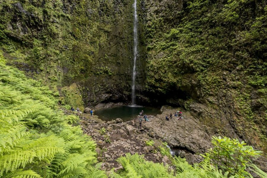 Madeira: Full-Day Laurel Forest Guided Walking Tour - The return walk requires just as much care