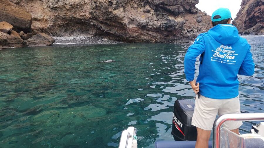 Madeira: Full-Day of Activities in Ponta de São Lourenço - Should you book the Ponta de São Lourenço activity?
