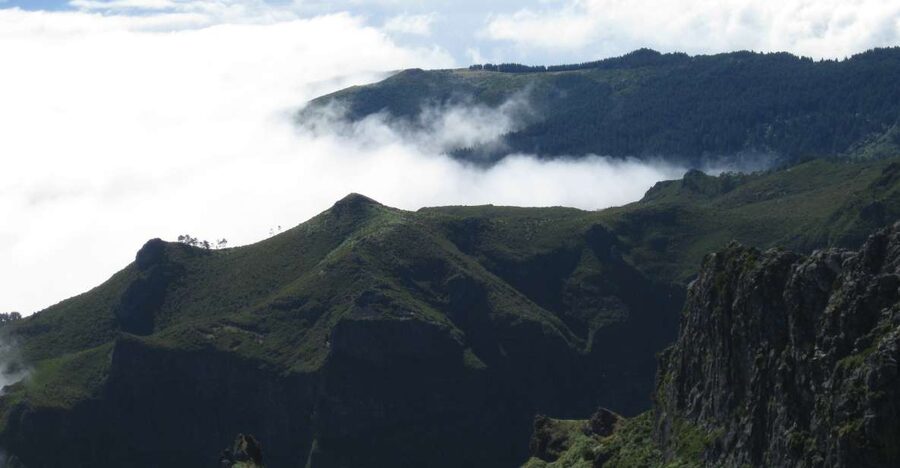 Madeira: Full-Day Pico Ruivo / Achada do Teixeira Walk - Reaching Pico Ruivo by the mountain route