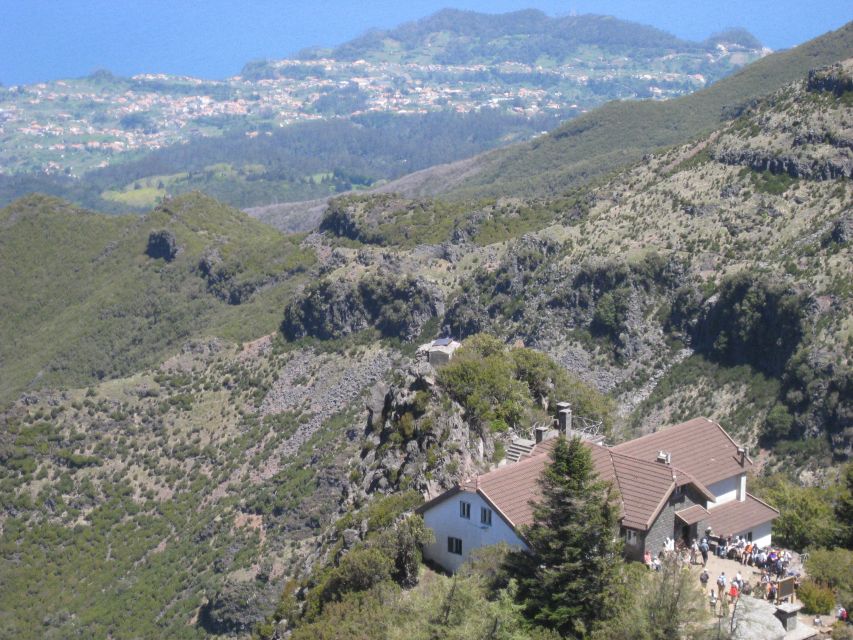 Madeira: Full-Day Pico Ruivo / Achada do Teixeira Walk - Walking through Madeira’s ancient heather forest