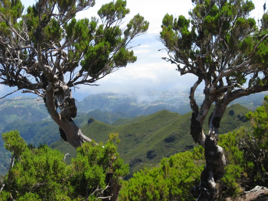Madeira: Full-Day Pico Ruivo / Achada do Teixeira Walk - Finishing at Achada do Teixeira