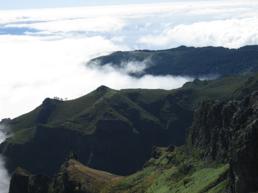 Madeira: Full-Day Pico Ruivo / Achada do Teixeira Walk - Flora, fauna, and spring color