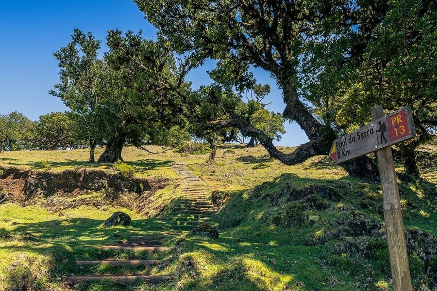Madeira: Full-Day Porto Moniz Jeep Tour - Ponta do Sol and Madeira’s warm coast