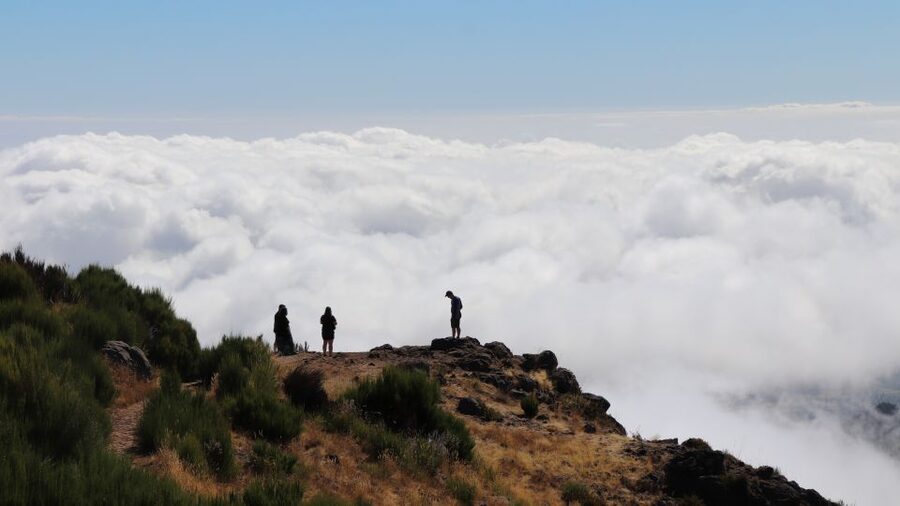 Madeira: Full Day Private Jeep Tour East or West - Choosing between Madeira’s east and west