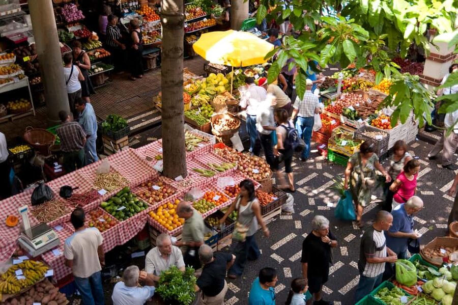 Madeira: Funchal's Eco Private City Tour - São Tiago Fort and the waterfront