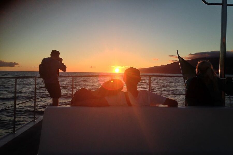 Madeira: Funchal Sunset Tour by Catamaran - Key points at a glance