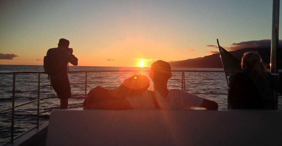 Madeira: Funchal Sunset Tour by Catamaran - Leaving Funchal Marina for the Atlantic