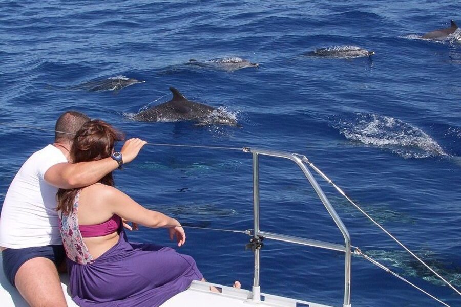 Madeira: Funchal Sunset Tour by Catamaran - Cabo Girão and the chance to swim