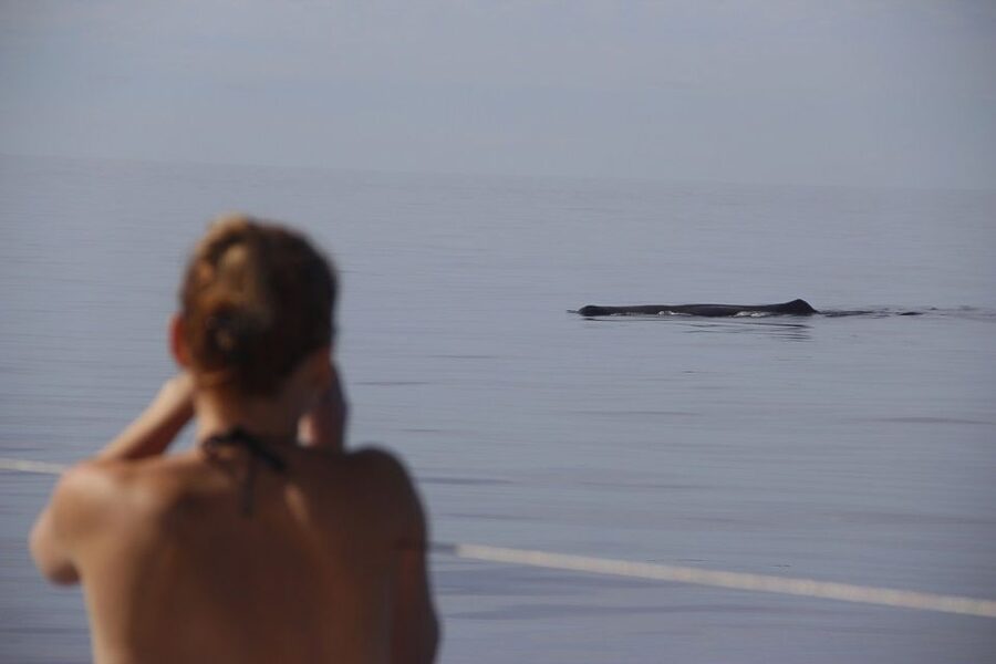 Madeira: Funchal Sunset Tour by Catamaran - Finding your best place on board