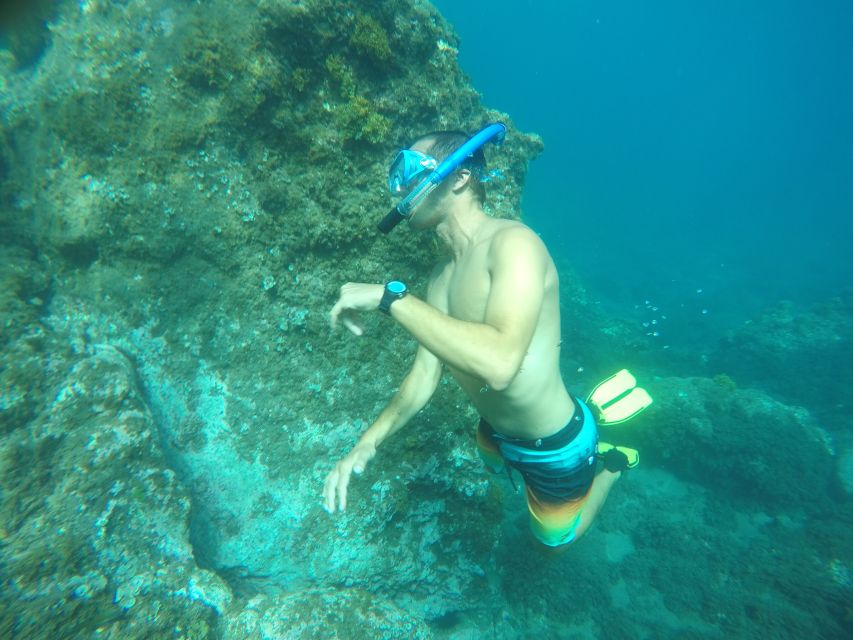 Madeira: Garajau Nature Reserve Kayak and Snorkel Tour - Why this three-hour trip works so well