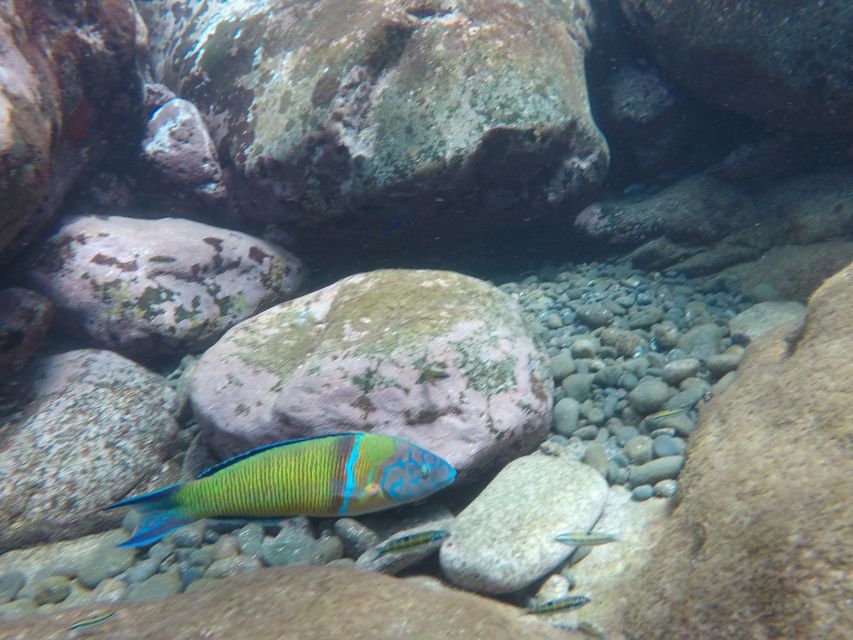 Madeira: Garajau Nature Reserve Kayak and Snorkel Tour - A pause at the pebble beach
