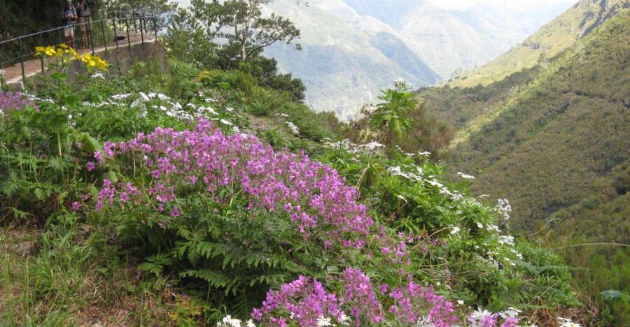 Madeira: Guided Full-Day Rabaçal Walk - Key points to know before booking