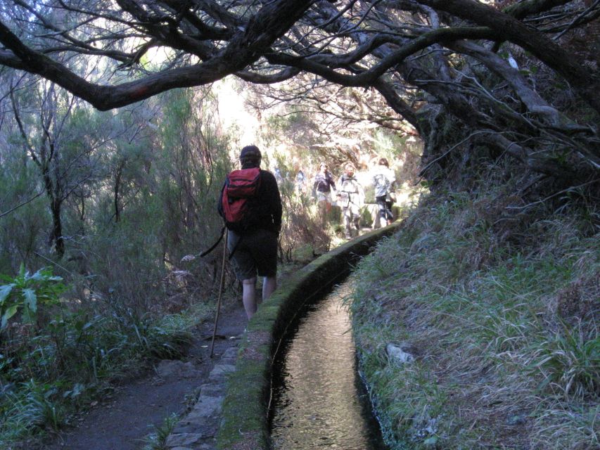 Madeira: Guided Full-Day Rabaçal Walk - Risco Waterfall and the first major stop