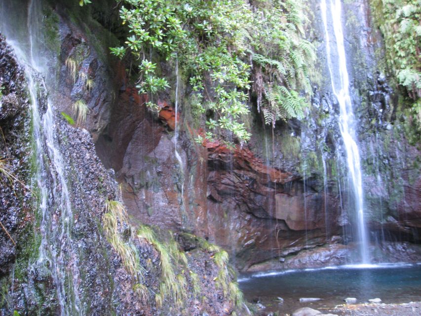 Madeira: Guided Full-Day Rabaçal Walk - Why the 25 Fontes section earns its place