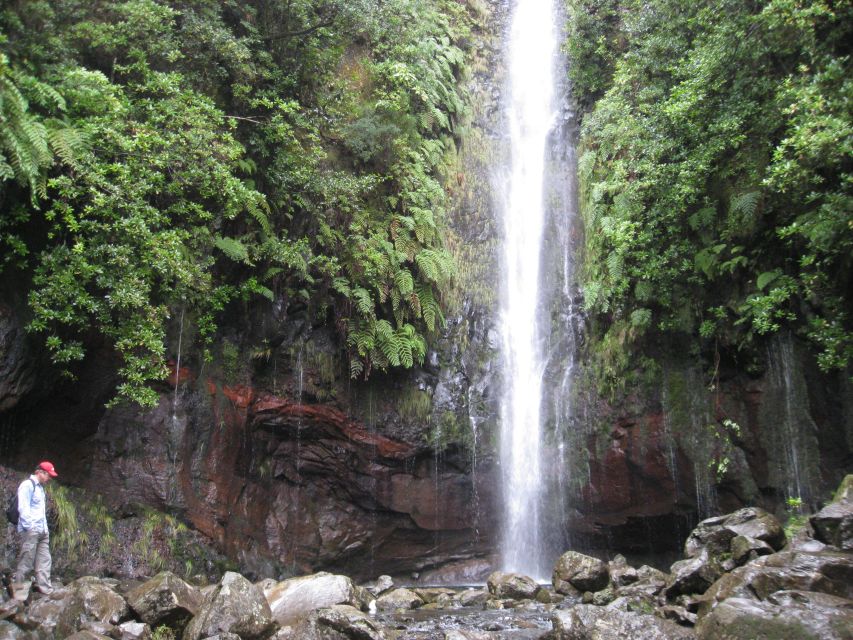 Madeira: Guided Full-Day Rabaçal Walk - Pace, equipment, and what to pack