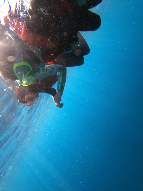 Madeira: Half-Day Coasteering Tour - Key points at a glance