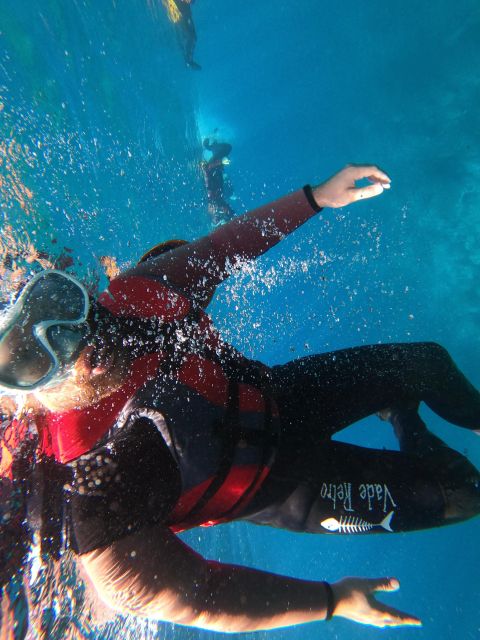 Madeira: Half-Day Coasteering Tour - Caves and clear water near Baia d’Abra