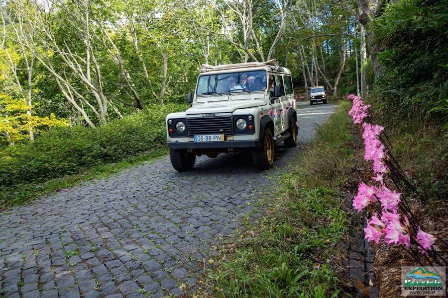 Madeira: Half-Day Nun's Valley and Sea Cliff Tour - Key points to know before you book