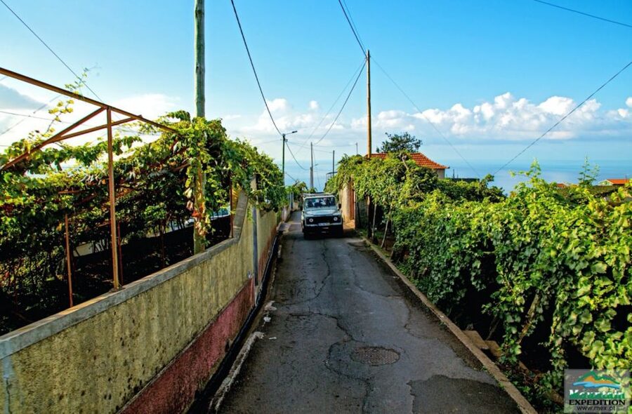 Madeira: Half-Day Nun's Valley and Sea Cliff Tour - Why this half-day route works well